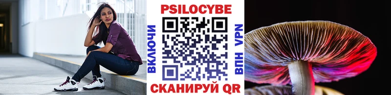 где найти наркотики  omg рабочий сайт  Псилоцибиновые грибы GOLDEN TEACHER  Первоуральск 